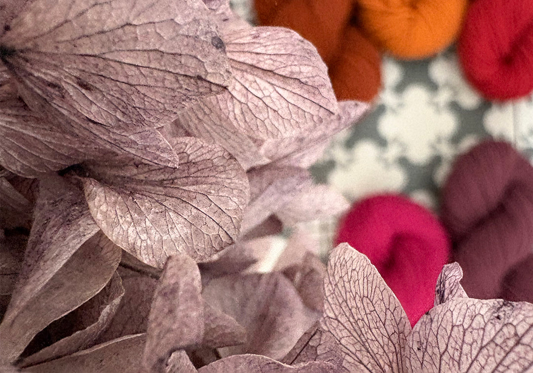 Pflanzengefärbte MERINO NATURWOLLE | *FUCHSIA* [COCHENILLE]