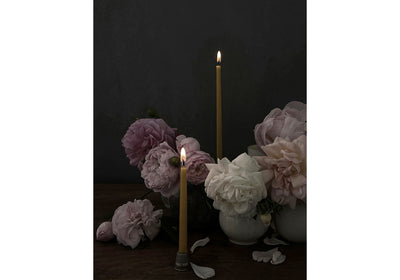 POSTKARTEN SET  ROSEN