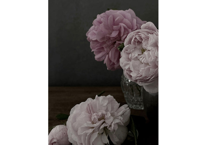 POSTKARTEN SET  ROSEN