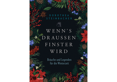 WENN'S DRAUSSEN FINSTER WIRD • Dorothea Steinbacher
