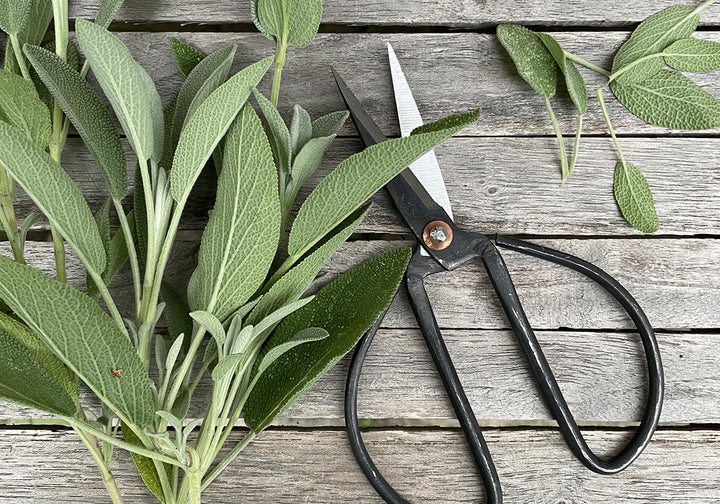 GARTEN- UND WERKEL- SCHERE [SCHWARZ]