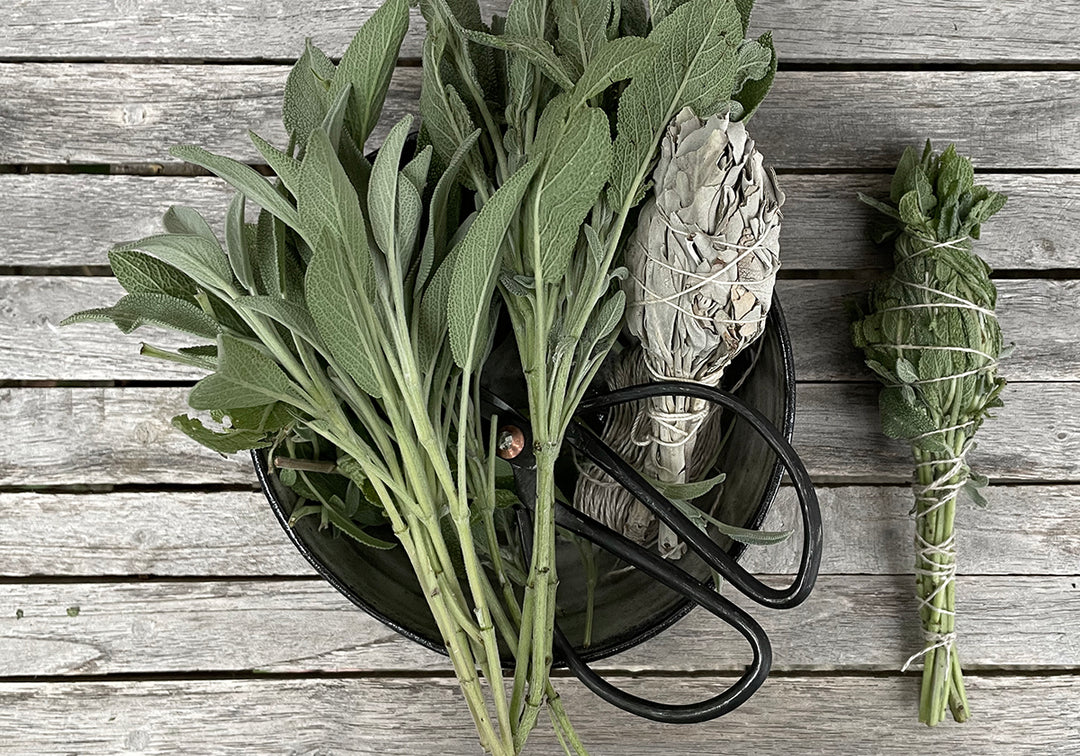 RÄUCHERBÜNDEL [Smudge Sticks]