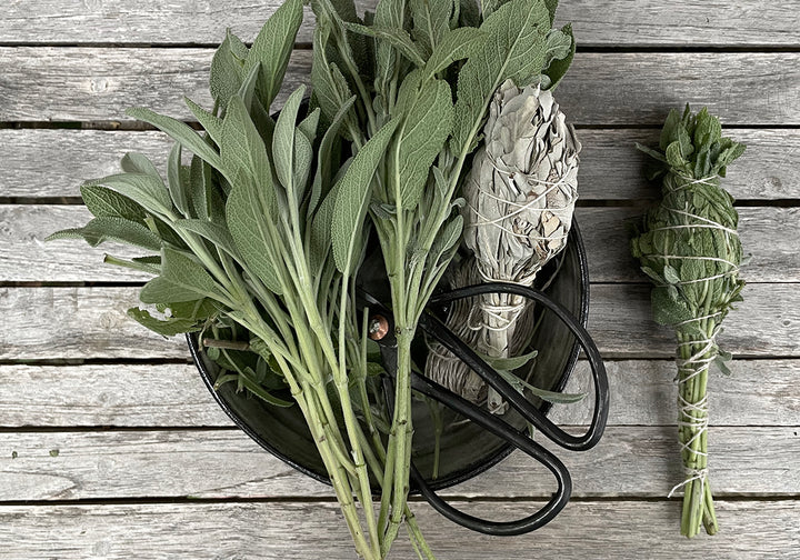 RÄUCHERBÜNDEL [Smudge Sticks]