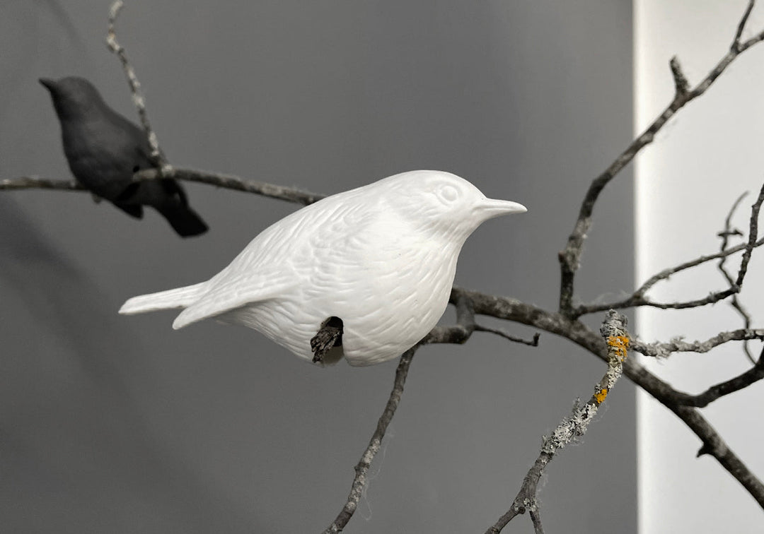 PORZELLAN VÖGEL [AMSEL | ROTKEHLCHEN | ZAUNKÖNIG]