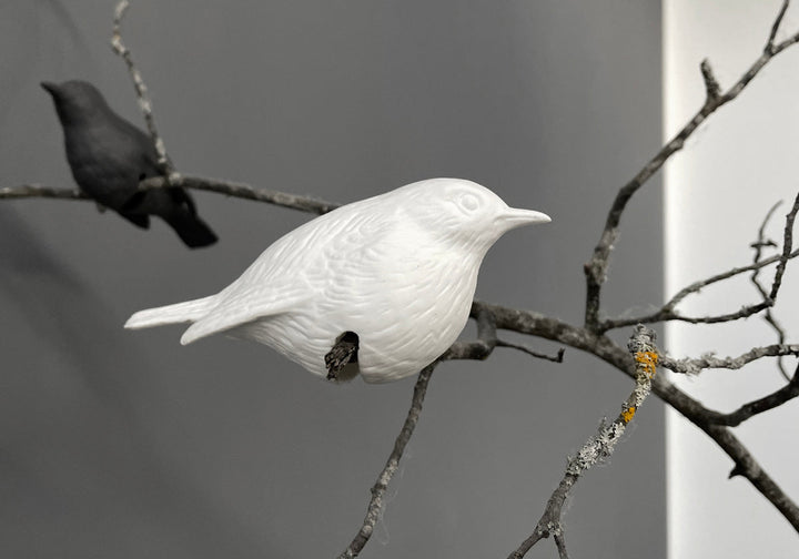 PORZELLAN VÖGEL [AMSEL | ROTKEHLCHEN | ZAUNKÖNIG]