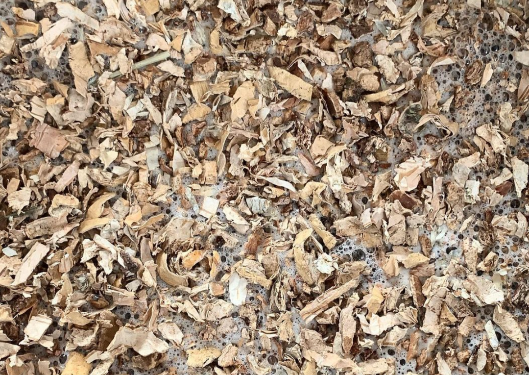 FÄRBESET [BIRKENRINDE]