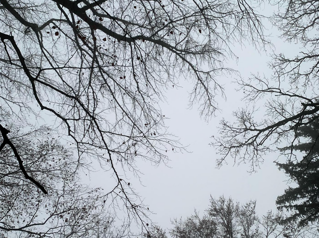 AROMAROLLER *WALDSPAZIERGANG*