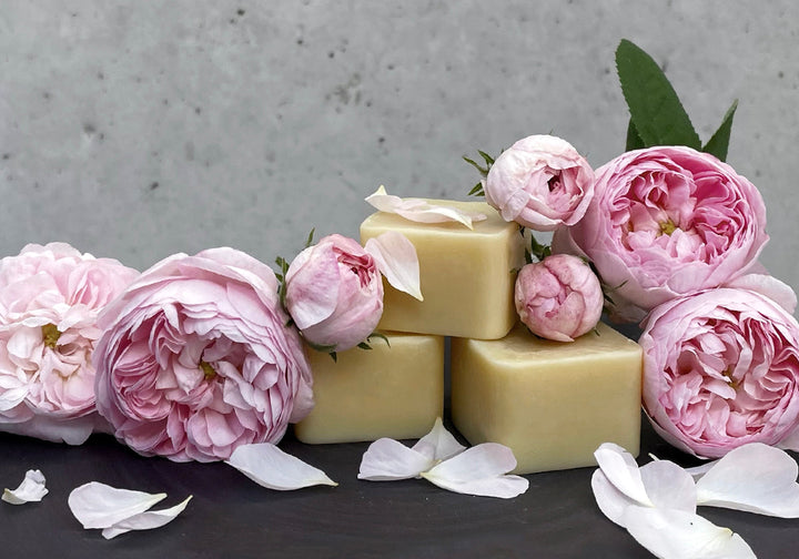HANDBUTTER ROSE | Feste Handcreme [PALMÖLFREI]