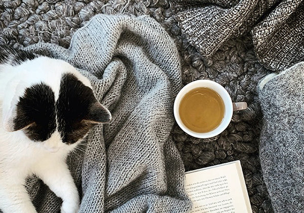 ALPAKA Garn in Naturtönen