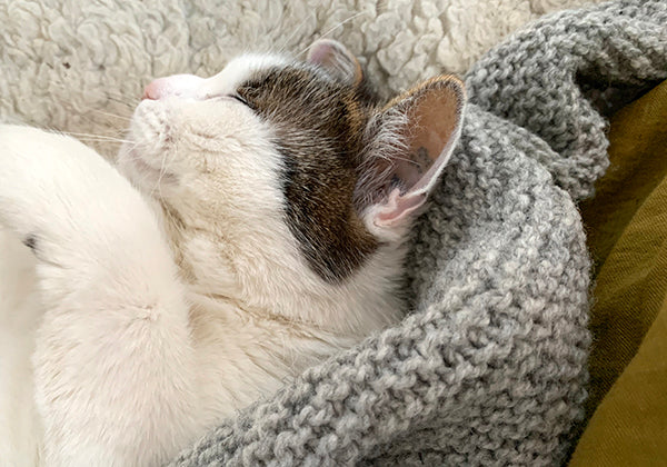 NATURKINDER DREIECKSTUCH [STRICKPAKET]