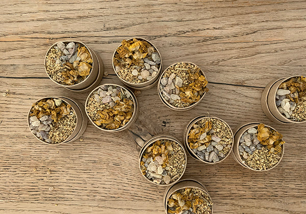 BIO RÄUCHERMISCHUNG *WETTERSEGEN*