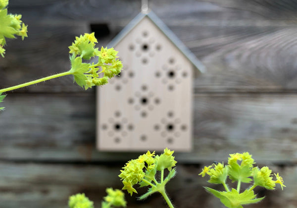 (WILD) BIENEN NISTHILFE *BEES' INN*
