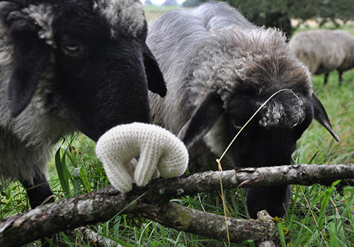 NATURKINDER Schäfchen [STRICKPAKET]