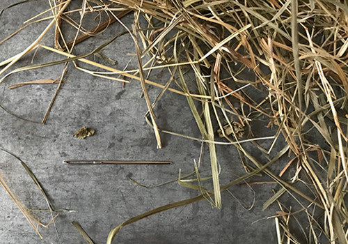 Sticknadel ohne Spitze [zum Vernähen!]